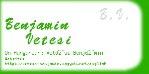 benjamin vetesi business card